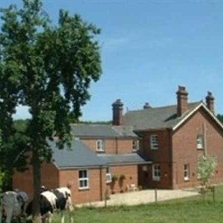 Vila Mill Farm Exeter Exteriér fotografie