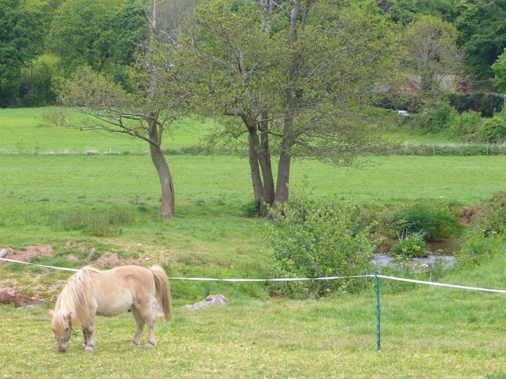 Vila Mill Farm Exeter Exteriér fotografie