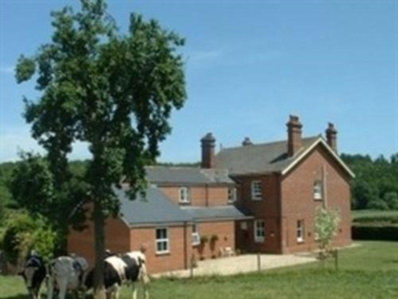 Vila Mill Farm Exeter Exteriér fotografie